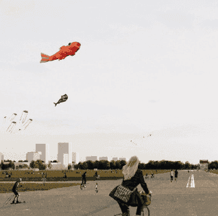 Teaser-Bild: Feld bleibt Feld, Autobahn wird Stadt