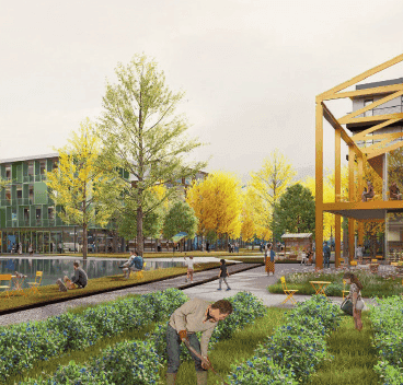 Teaser-Bild: Beitrag 1138