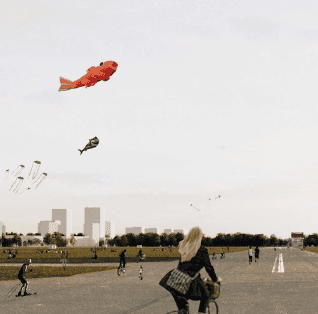 Teaser-Bild: Feld bleibt Feld, Autobahn wird Stadt