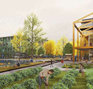 Teaser-Bild: Beitrag 1138